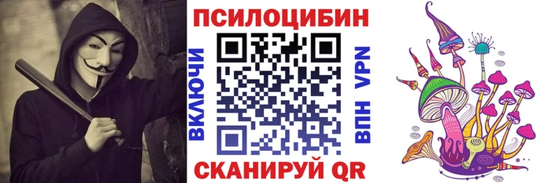 Псилоцибиновые грибы Psilocybe  где купить   kraken   Озёры 